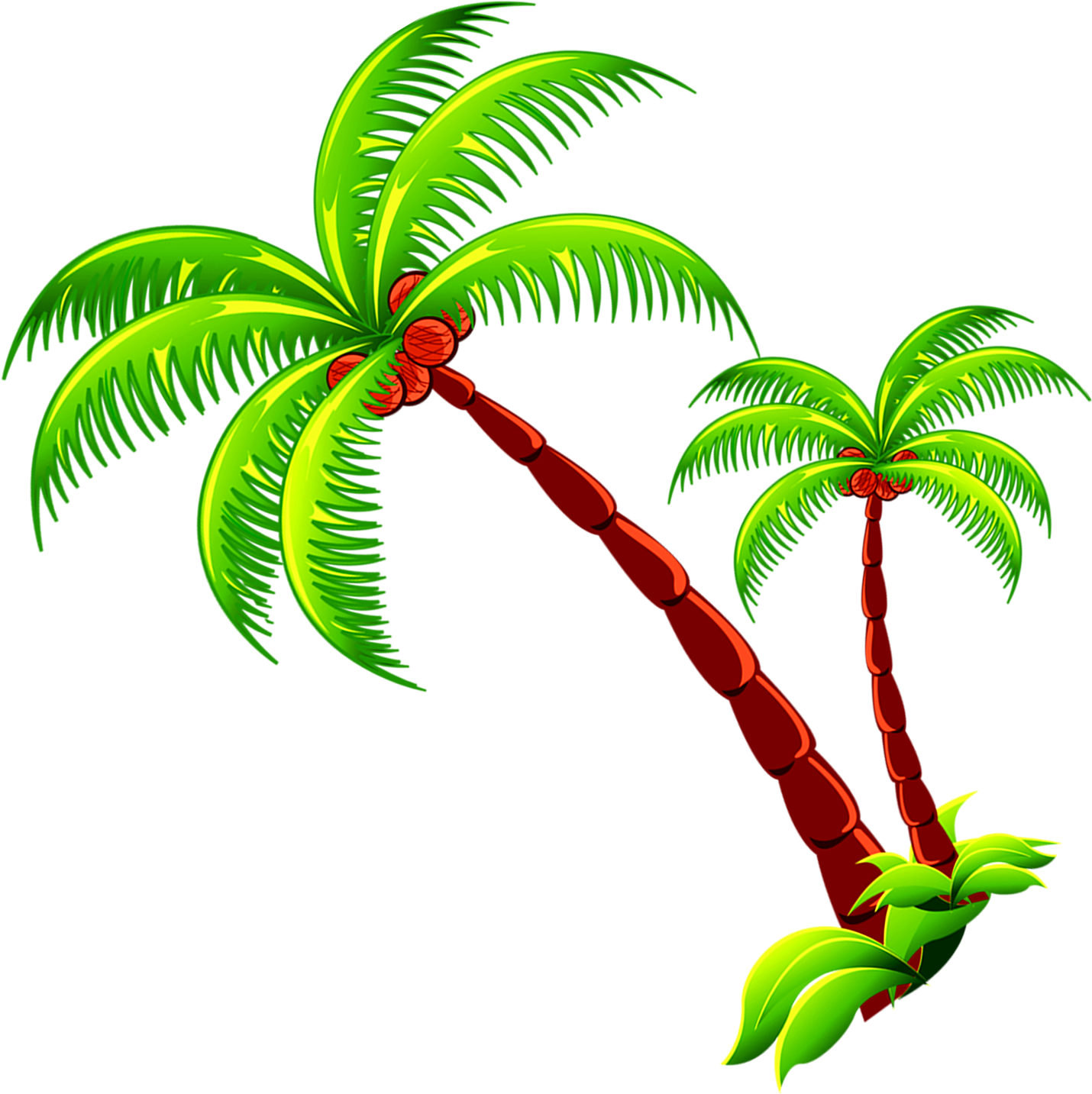 Coconut Tree Branch - Coconut Tree Branch (1430x1433)
