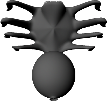 Share This 3d Model - Spider (640x480)