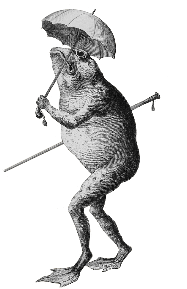 Old Frog Illustrations (810x1011)