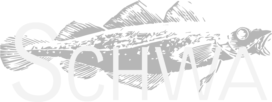 Illustration (961x367)