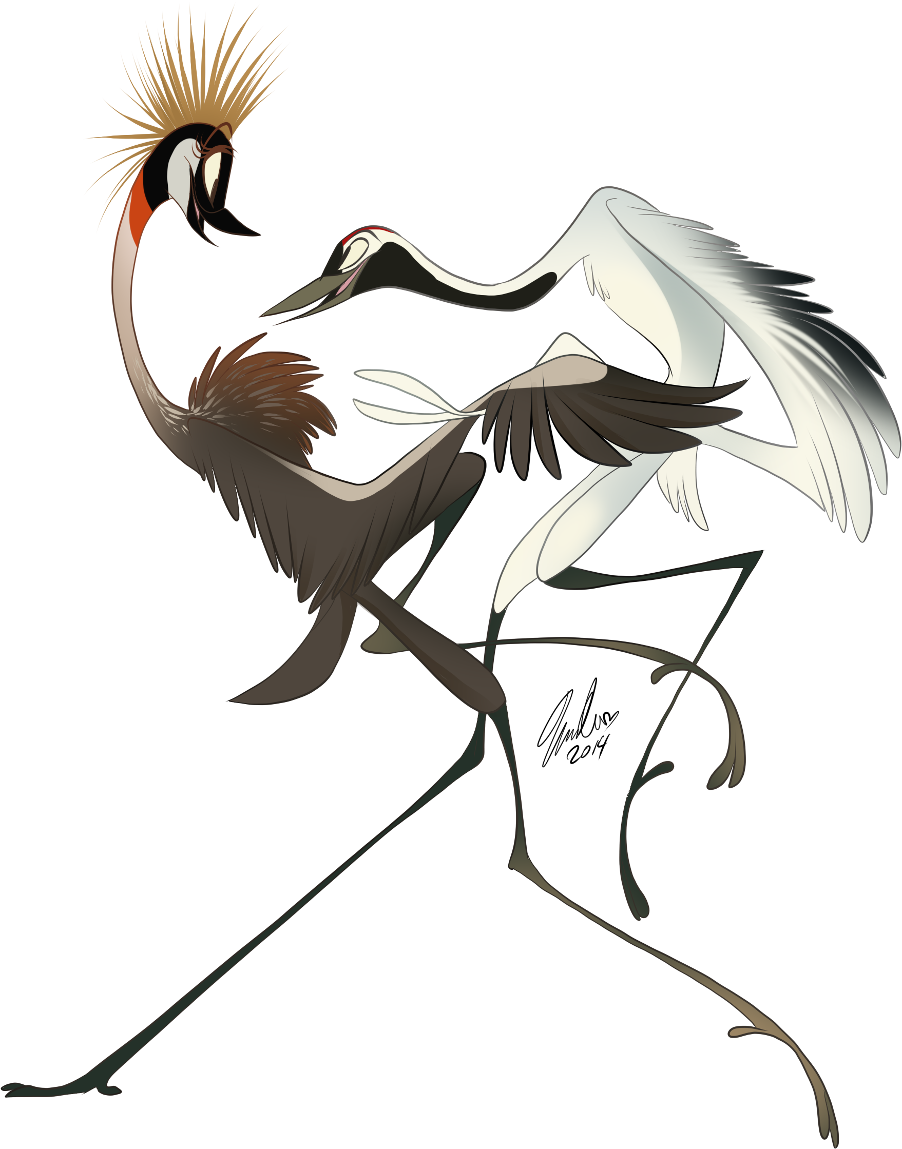 Crane Dance - Art (1845x2300)