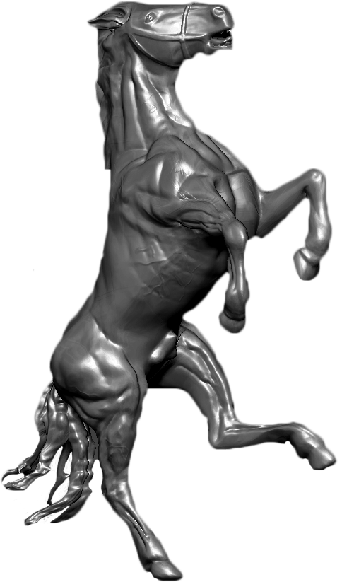 Examples Of 3d Modeling - Anatomy (484x823)