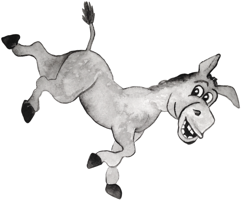 Mane (856x720)