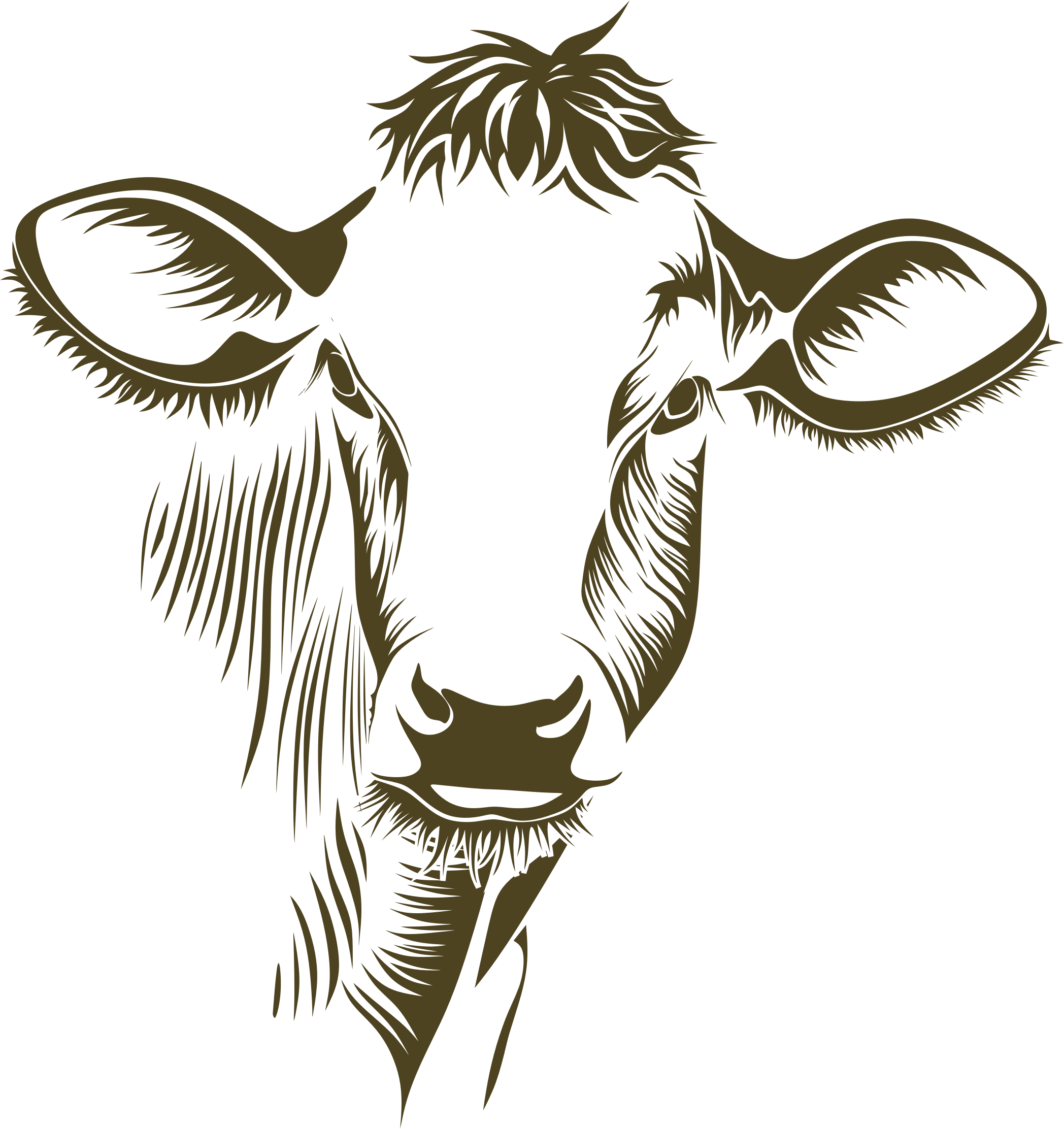 Cow / Id - Write Here Notebooks: Cow Notebook / Journal 100 Pages (2096x2224)