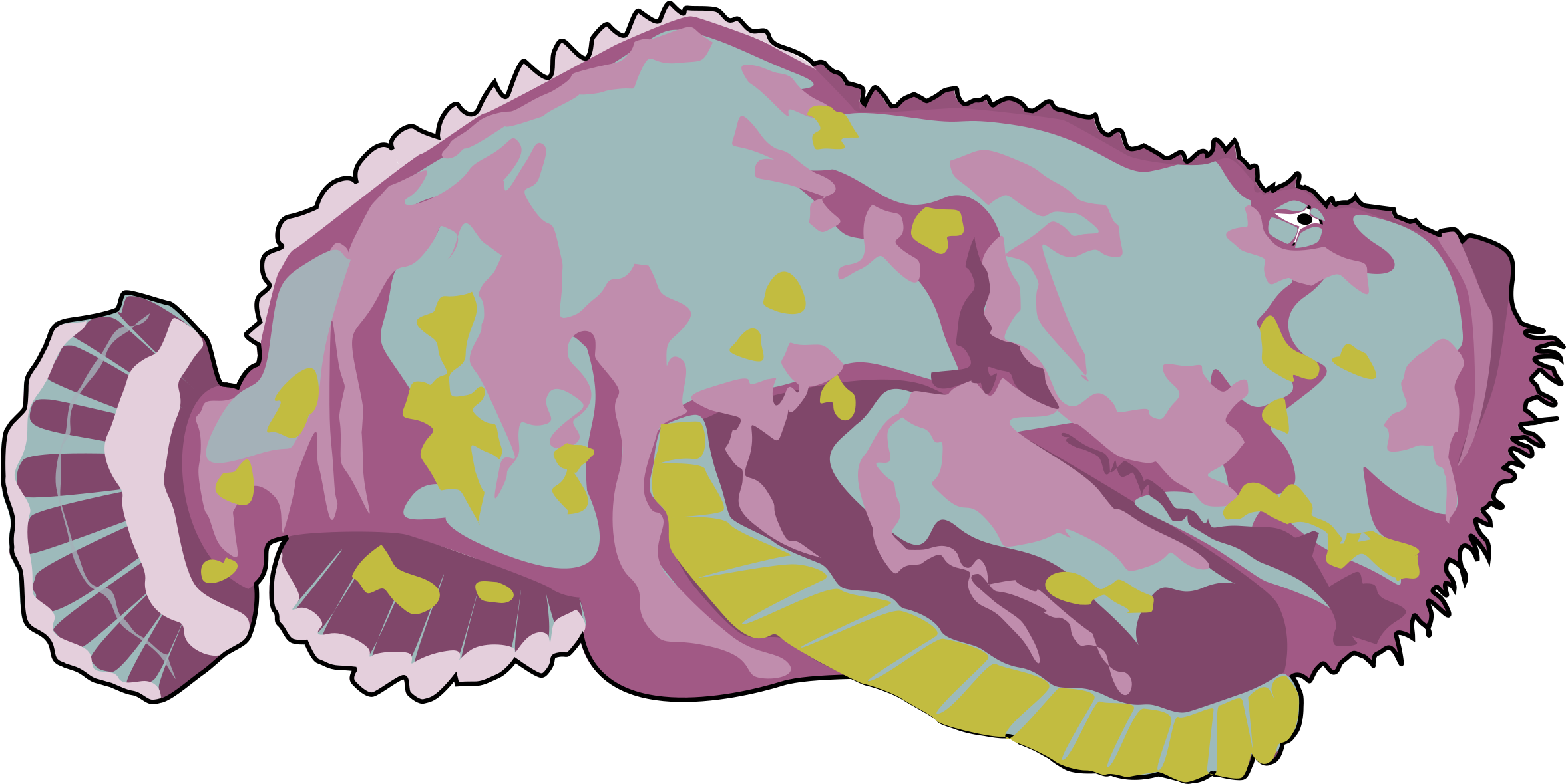 Big Image - Stonefish Clipart (2400x1226)