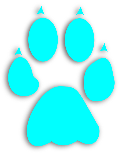 Circle (462x594)