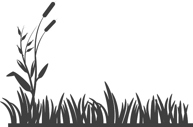 Hierba - Background Design Clipart (640x423)