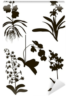 Silhouette (400x400)