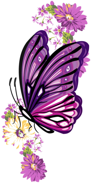 Drawing (447x800)