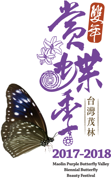 茂林雙年賞蝶季 - Limenitis (450x607)