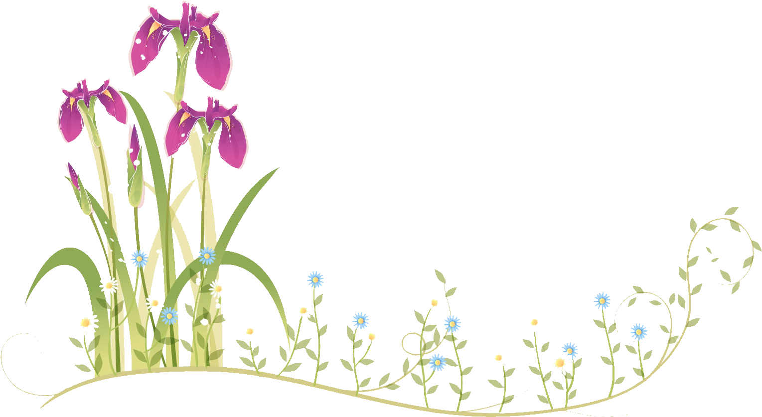 Border Flowers Moth Orchids - Flower Frame (1600x1099)
