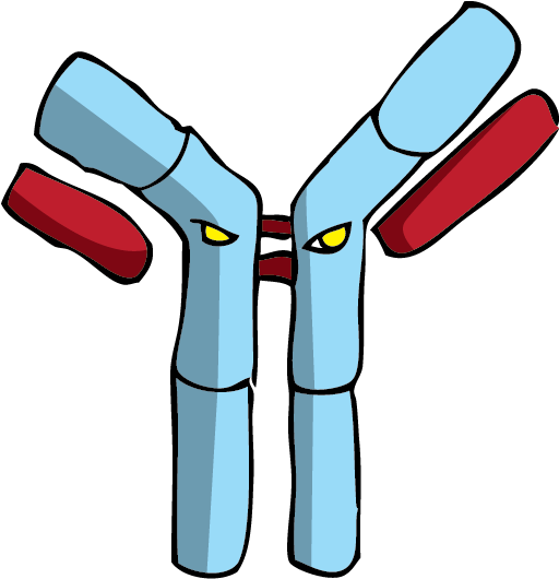 Clip Art (518x558)