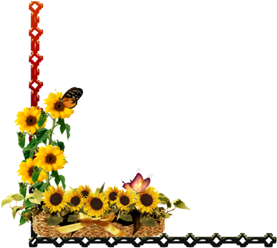 Coins - Sunflower (600x600)