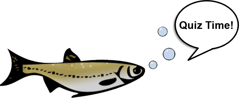 Test Your Knowledge - Oily Fish (837x346)