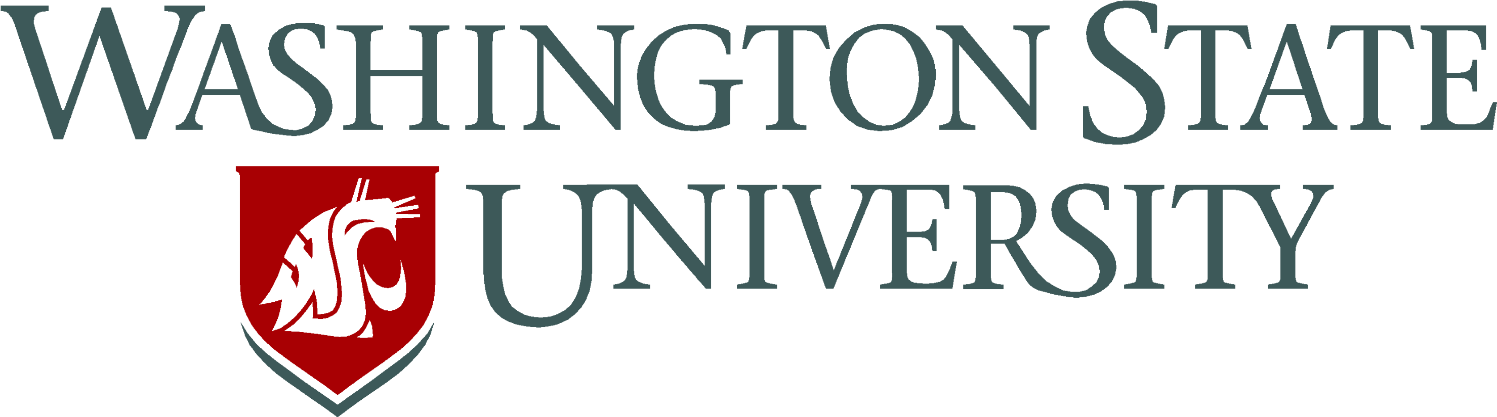 Portable Network Graphics Formated Files - Washington State University Cougars Vintage-look Maroon (3000x911)