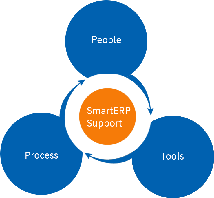 Has Resulted In A Highly Structured Application Development - Bypass Substitute (772x717)