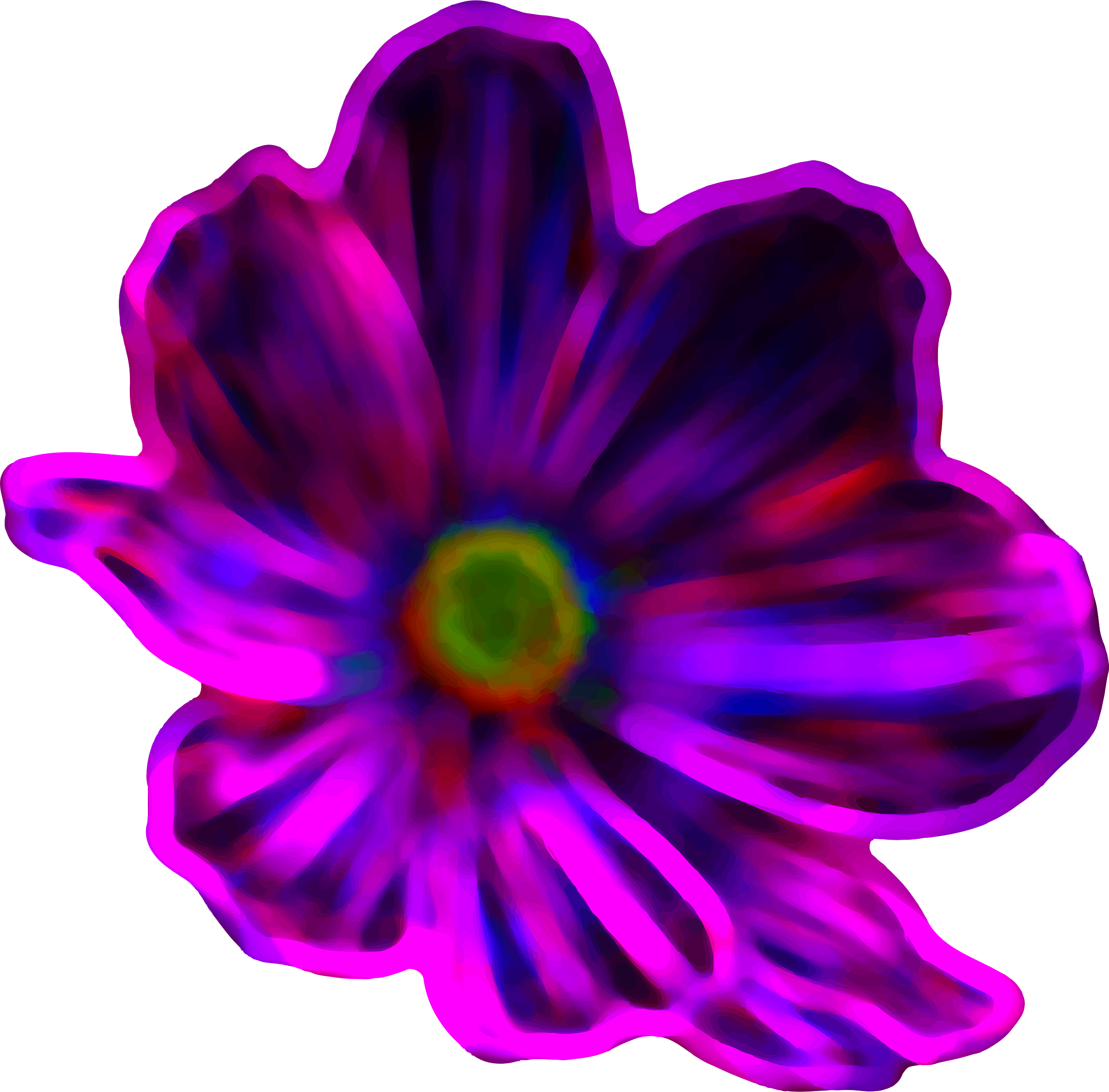 Big Image - Primula (2400x2364)