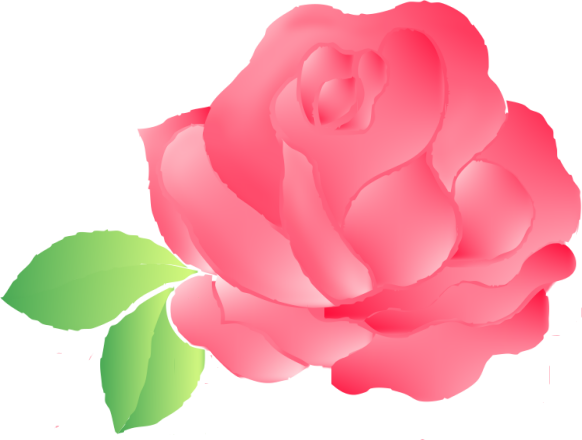 Rose1 - Garden Roses (582x440)