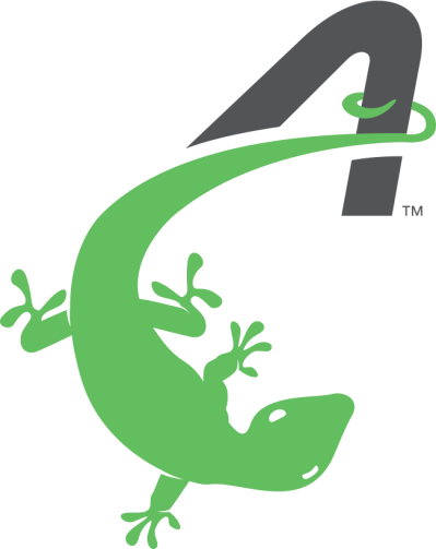Compressed Activekids Gecko - Illustration (399x503)