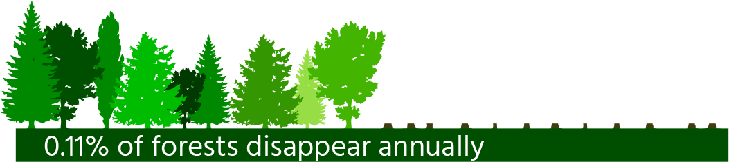 1/3 - Spruce (1098x262)