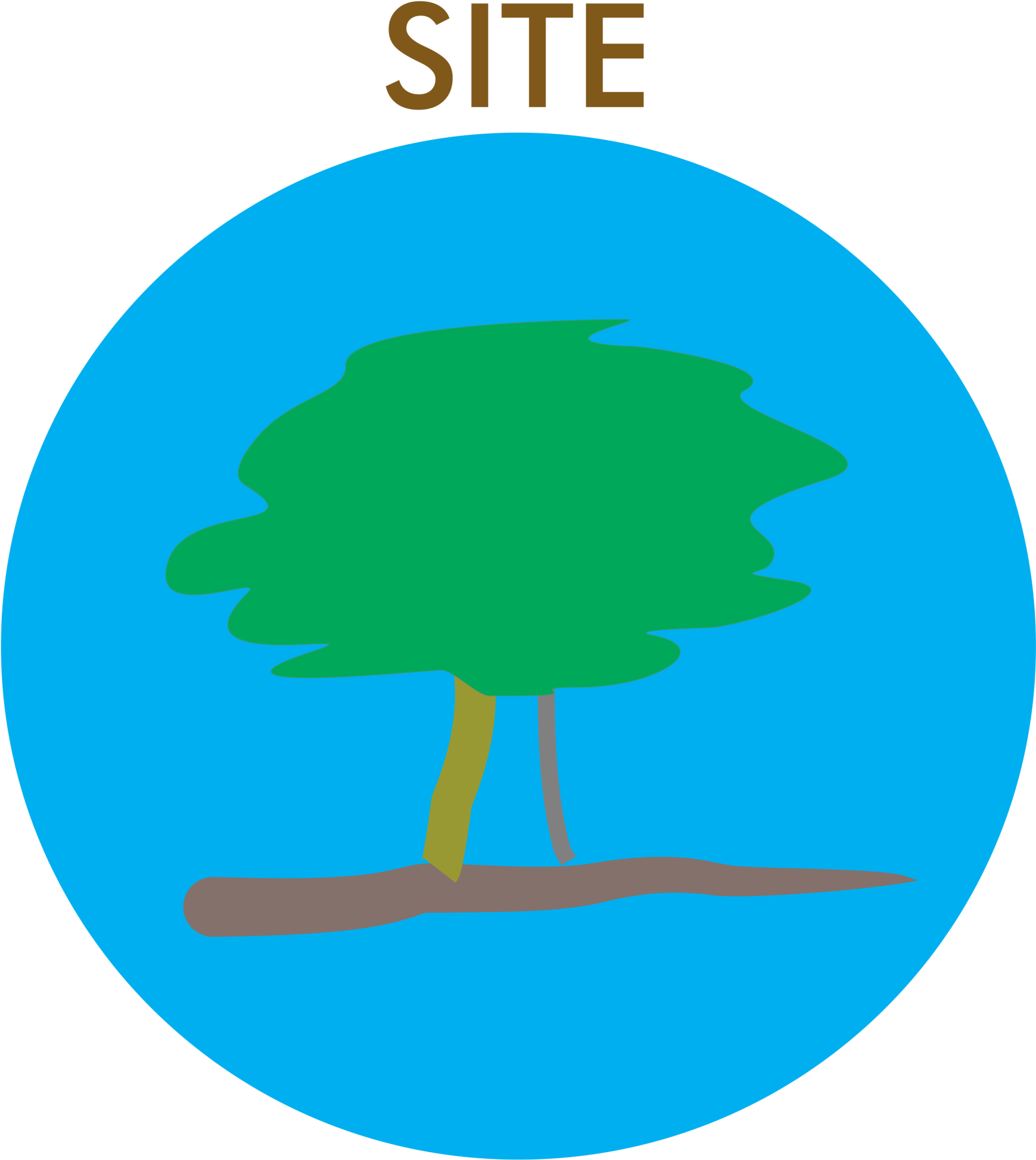 Design (1737x2000)