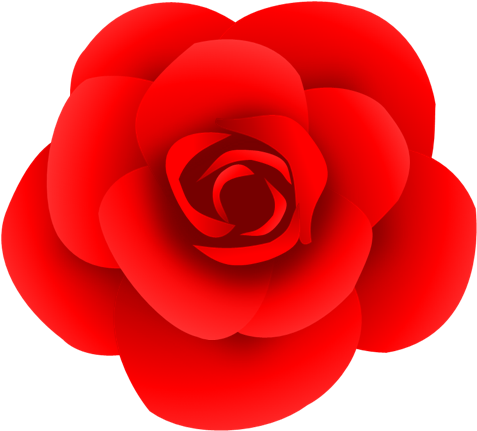 赤いバラの花のイラスト - バラ の 花 イラスト (516x453)