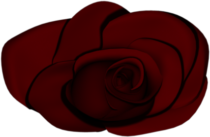 Garden Roses (640x480)