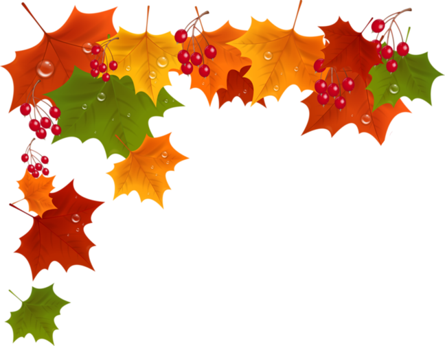 Фото, Автор Иришка-манюшка На Яндекс - Leaf (648x504)