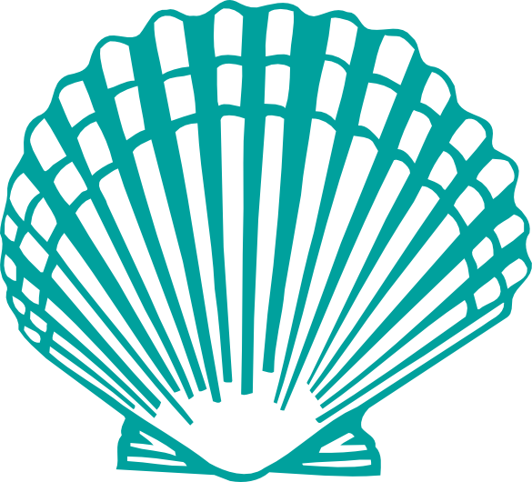 Shell Svg - Scallop Shell Clip Art (585x530)