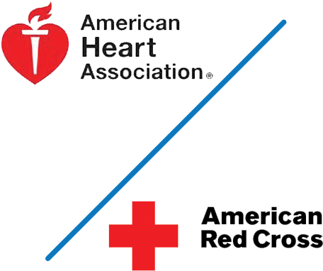 Pac-kit 21-009 Cpr, Aed, & Basic First Aid Pocket (500x500)