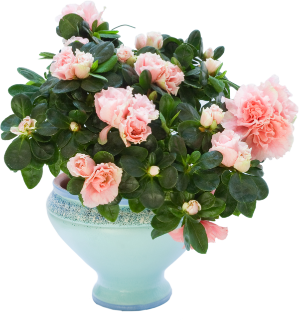 Vases De Roses - عید غدیر خم گیف (600x643)