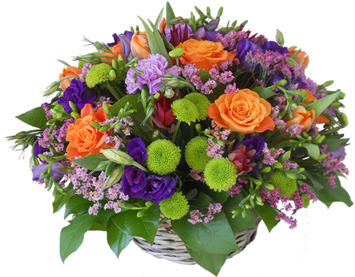 Flowers Song (500x390)