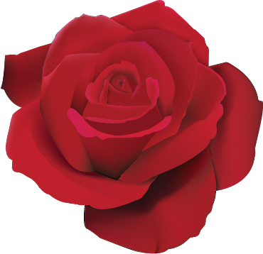 Garden Roses (370x358)