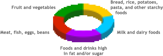 Food Chart - Circle (596x218)