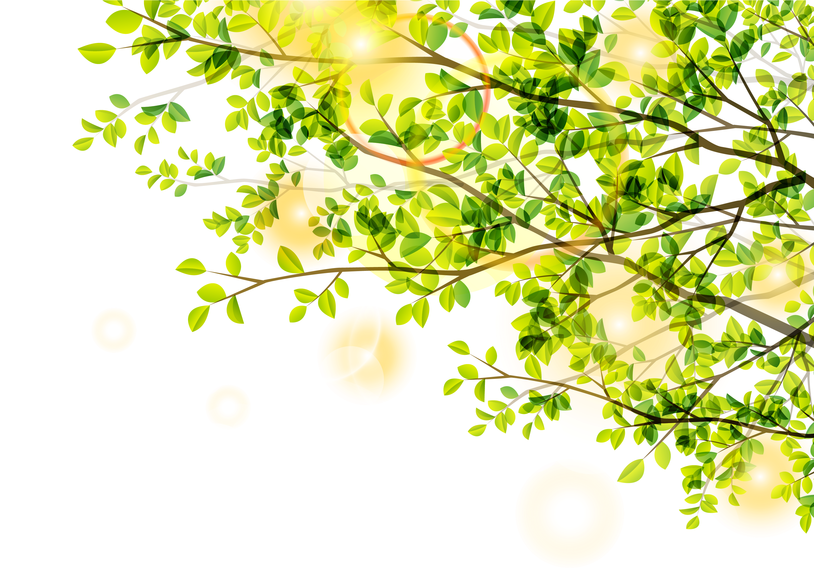 Leaf Green Euclidean Vector Tree - Leaf Green Euclidean Vector Tree (3125x3125)