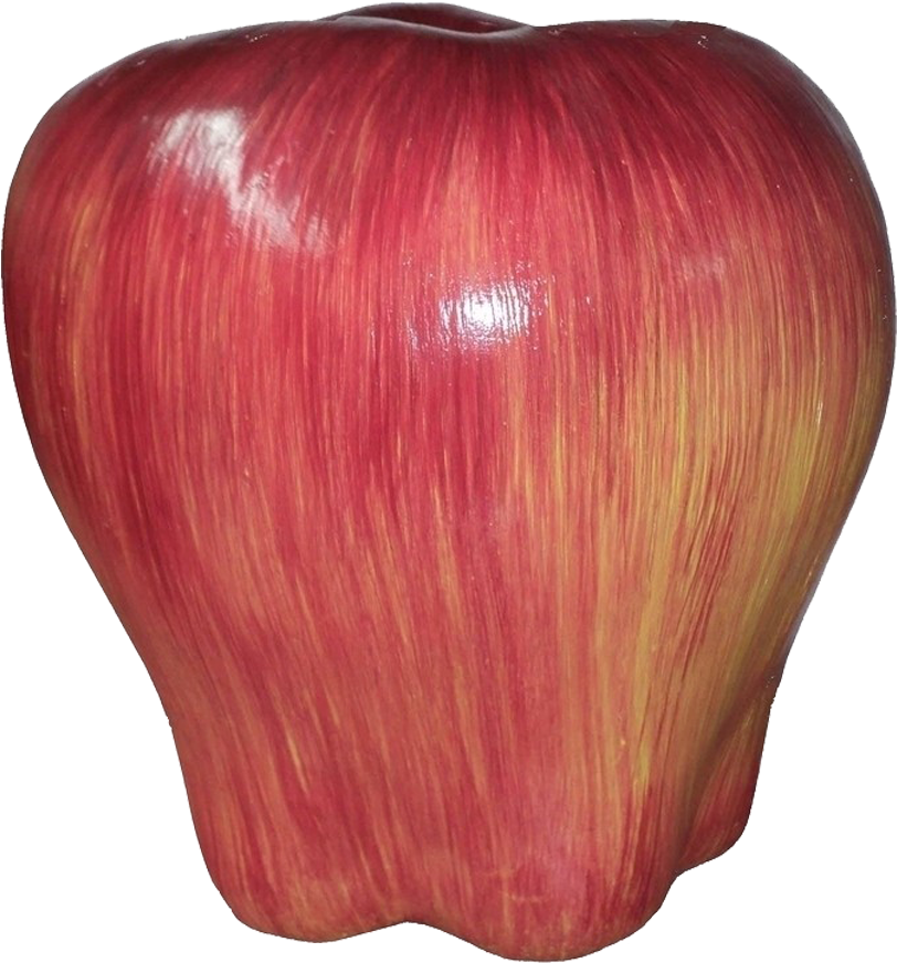 Apple Adobe Illustrator - Apple Adobe Illustrator (924x987)