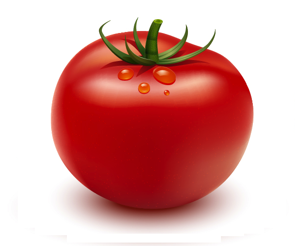 Adobe Illustratorを使ってトマトを描く方法 - Illustrator Fruit (624x500)
