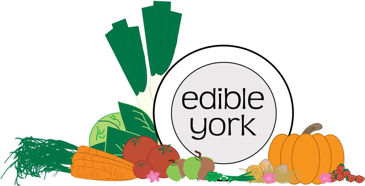 York Funding Llc (1184x603)