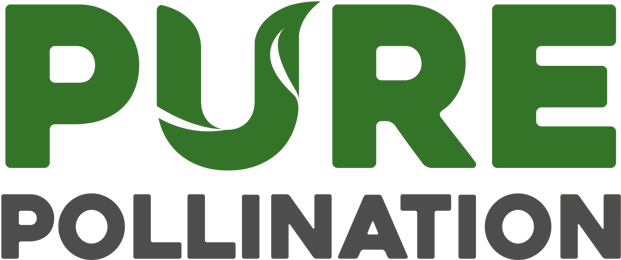Pure Pollination Pure Pollination - Herb (651x272)