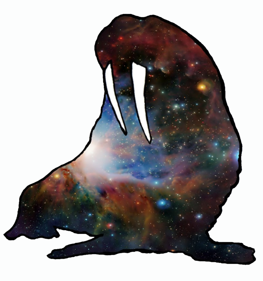 Custom Avatar - Custom Nebula Pillowcase 50cm X 80cm Pillow Protector (865x924)