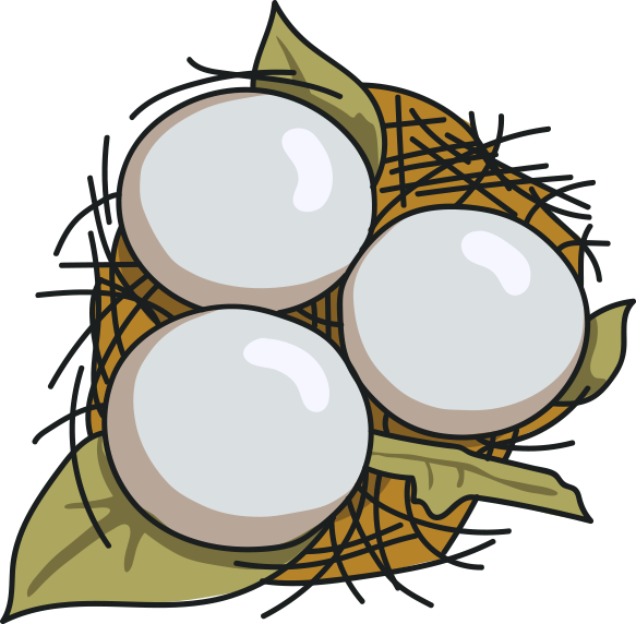 Owl Eggs - Owl Eggs (583x572)