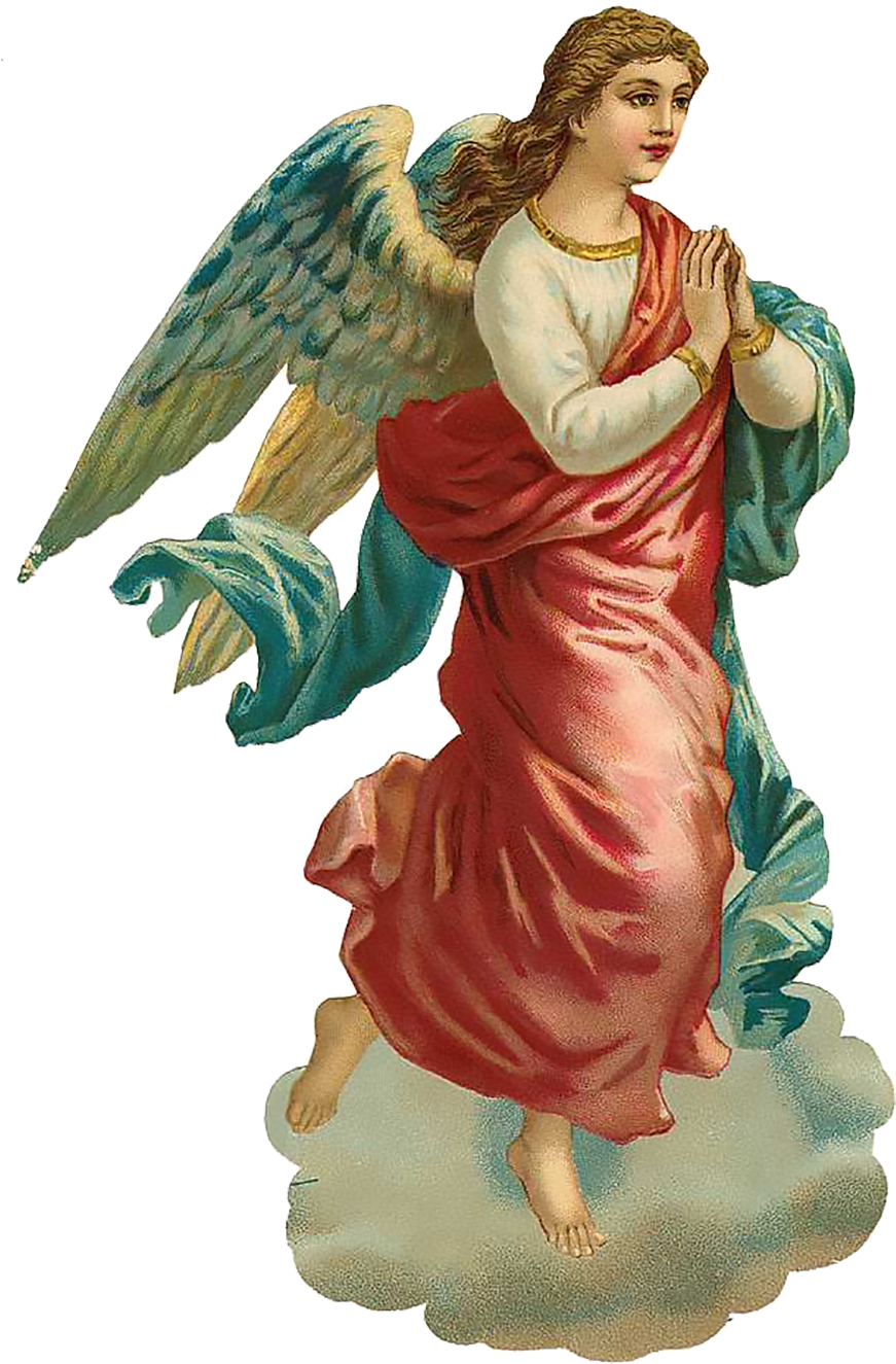 Angel Png (878x1350)