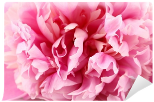 Peony (400x400)