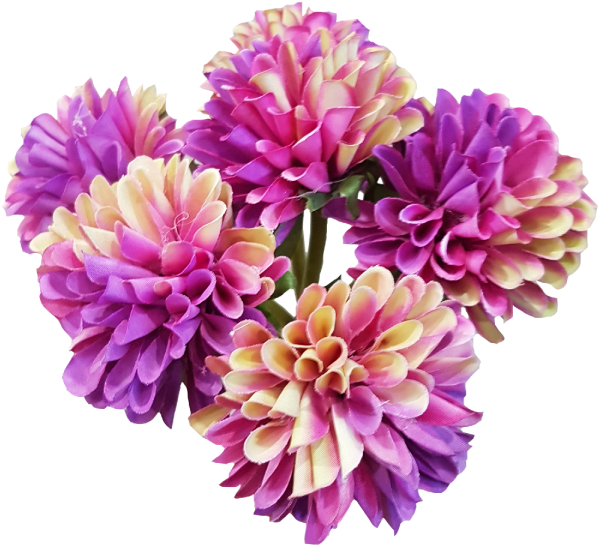More View - Dahlia (800x600)