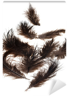 White Pine (400x400)