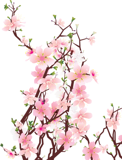 2 Kb - Sakura (487x640)