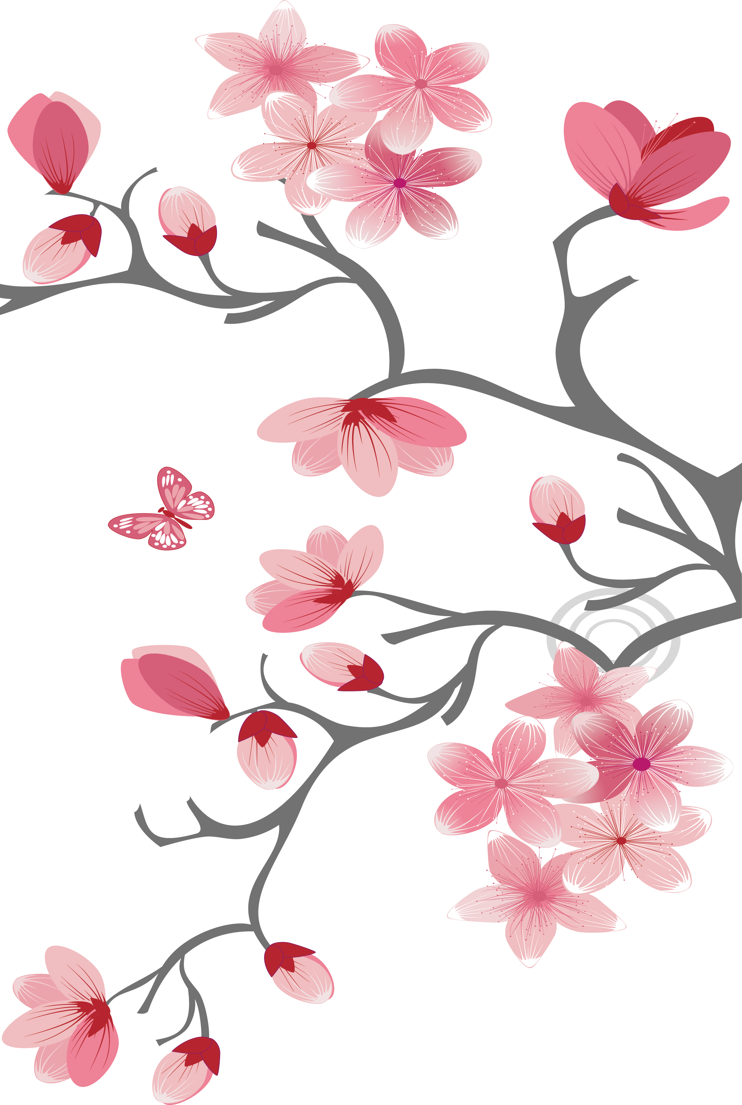 Cherry Blossom Computer File - Cherry Blossom Computer File (2377x3539)