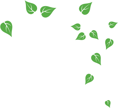   Tree Branch Wall Stickers (600x600)