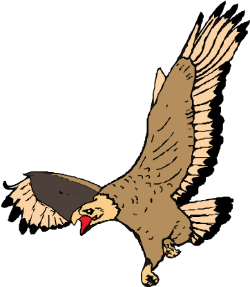 Bald Eagle Drawing - Bald Eagle Drawing (595x842)