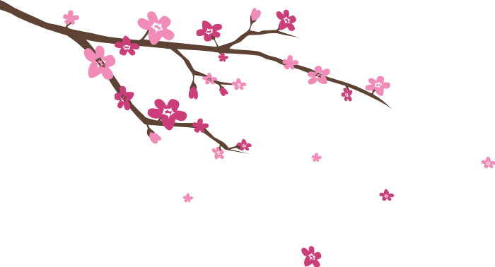 Cherry Blossoms Wall Decal - Wall Decal (700x378)